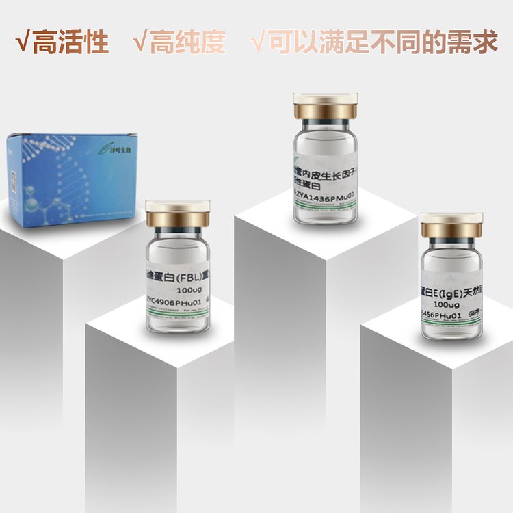 脑啡肽酶(CD10)重组蛋白 ZY685Hu02P_42372d82.jpg
